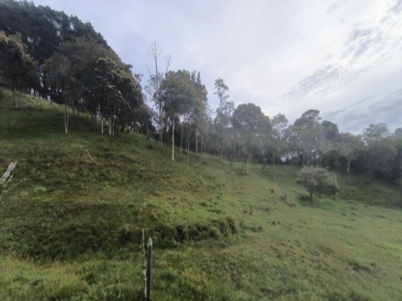 Lote en venta ubicado en Medellín, sector Vereda la Honda - 8