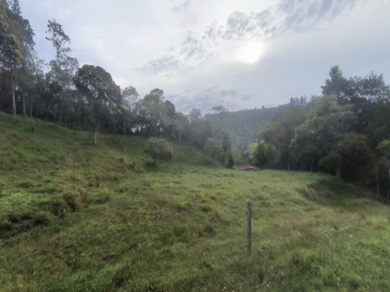 Lote en venta ubicado en Medellín, sector Vereda la Honda - 9
