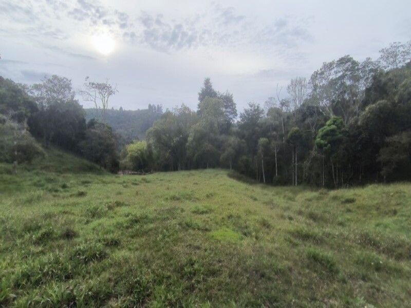 Lote en venta ubicado en Medellín, sector Vereda la Honda - 10