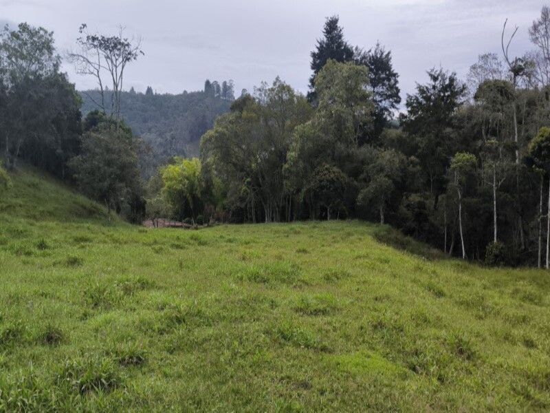 Lote en venta ubicado en Medellín, sector Vereda la Honda - 11