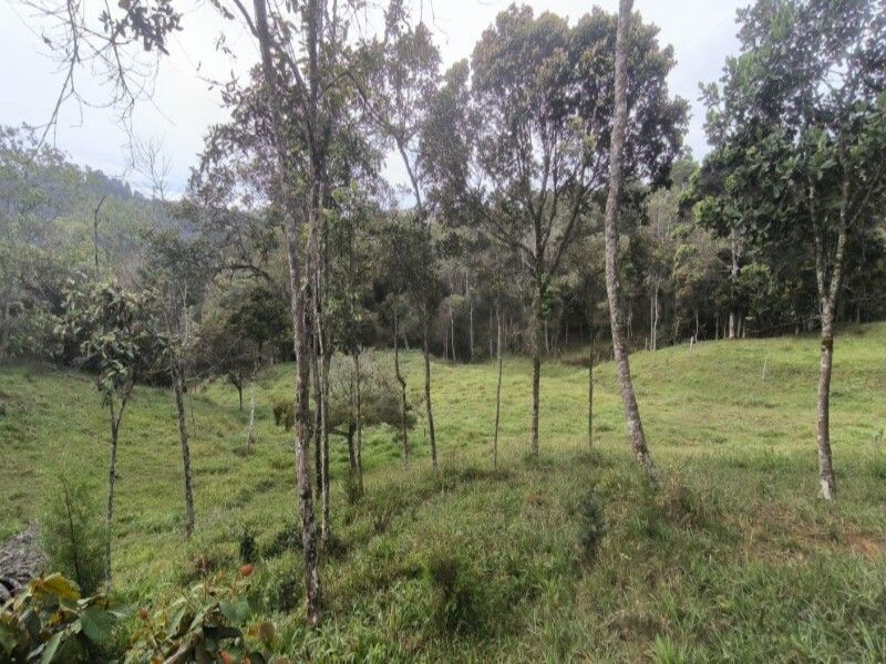 Lote en venta ubicado en Medellín, sector Vereda la Honda - 13