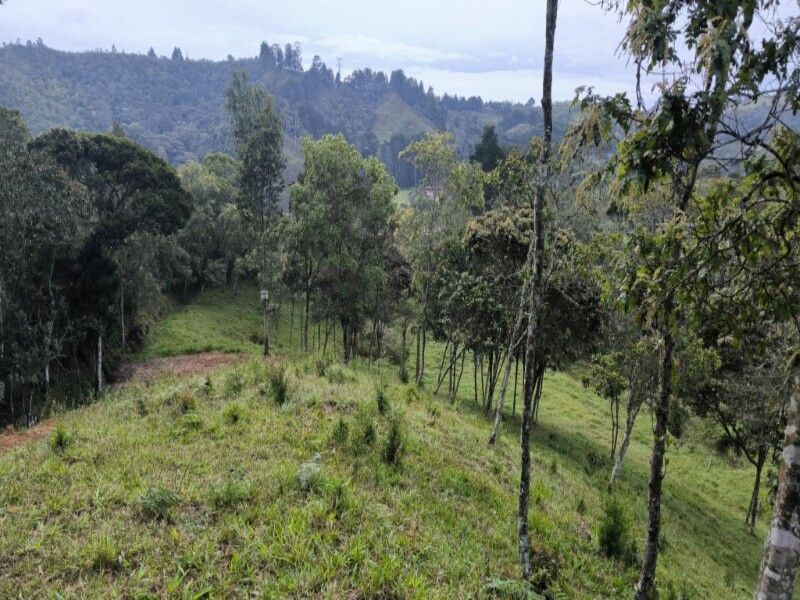 Lote en venta ubicado en Medellín, sector Vereda la Honda - 15