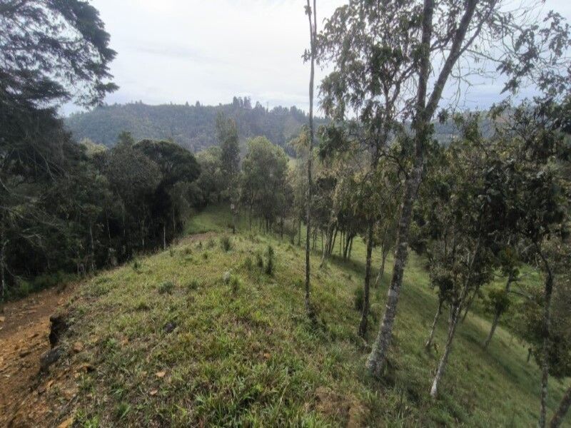 Lote en venta ubicado en Medellín, sector Vereda la Honda - 18