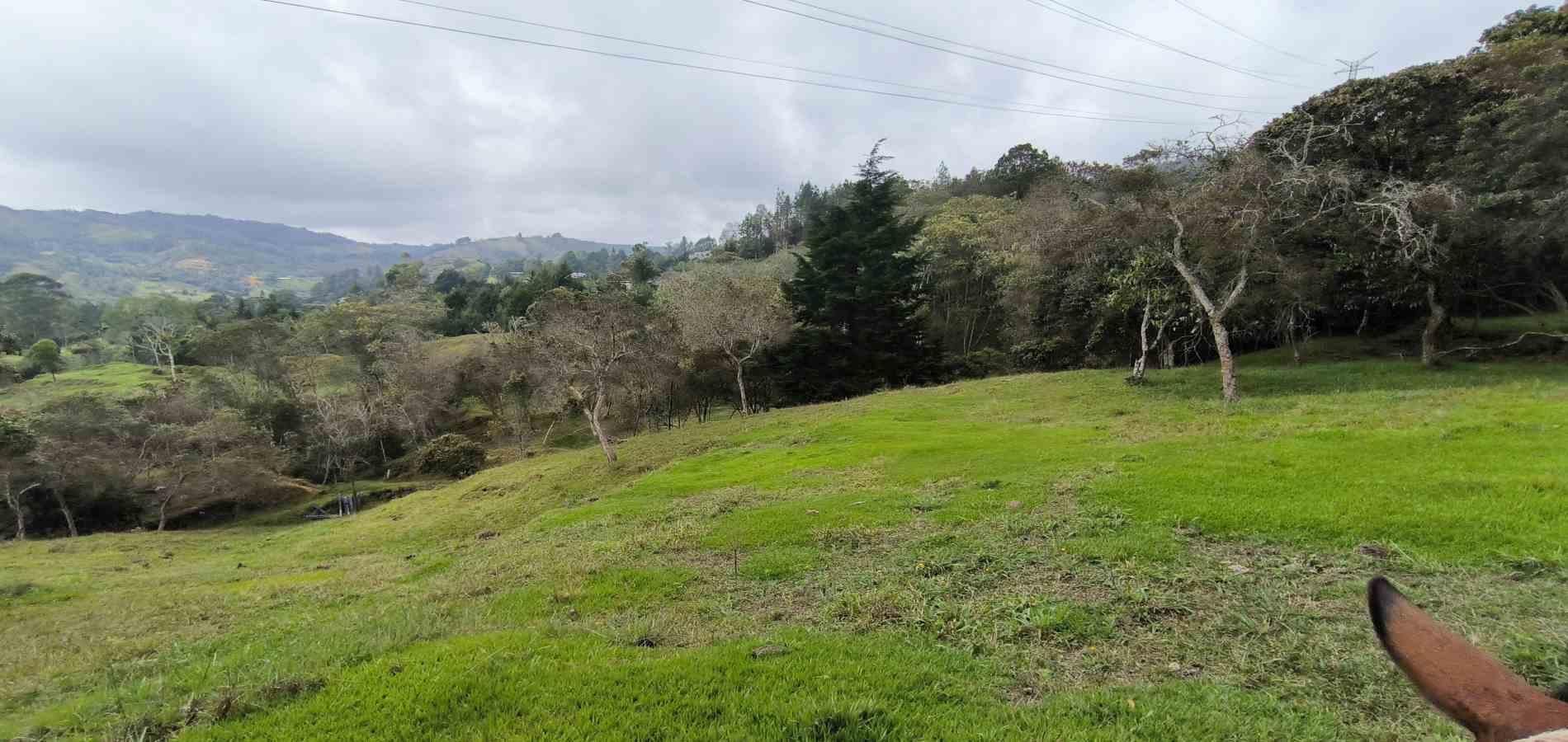 Lote en venta ubicado en Medellín, sector Vereda la Honda - 5