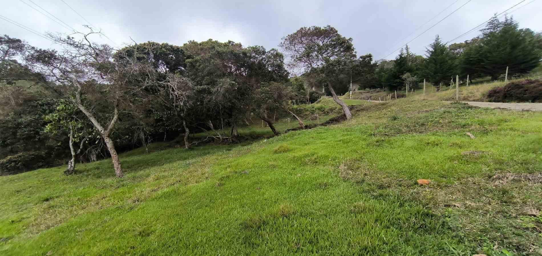 Lote en venta ubicado en Medellín, sector Vereda la Honda - 6