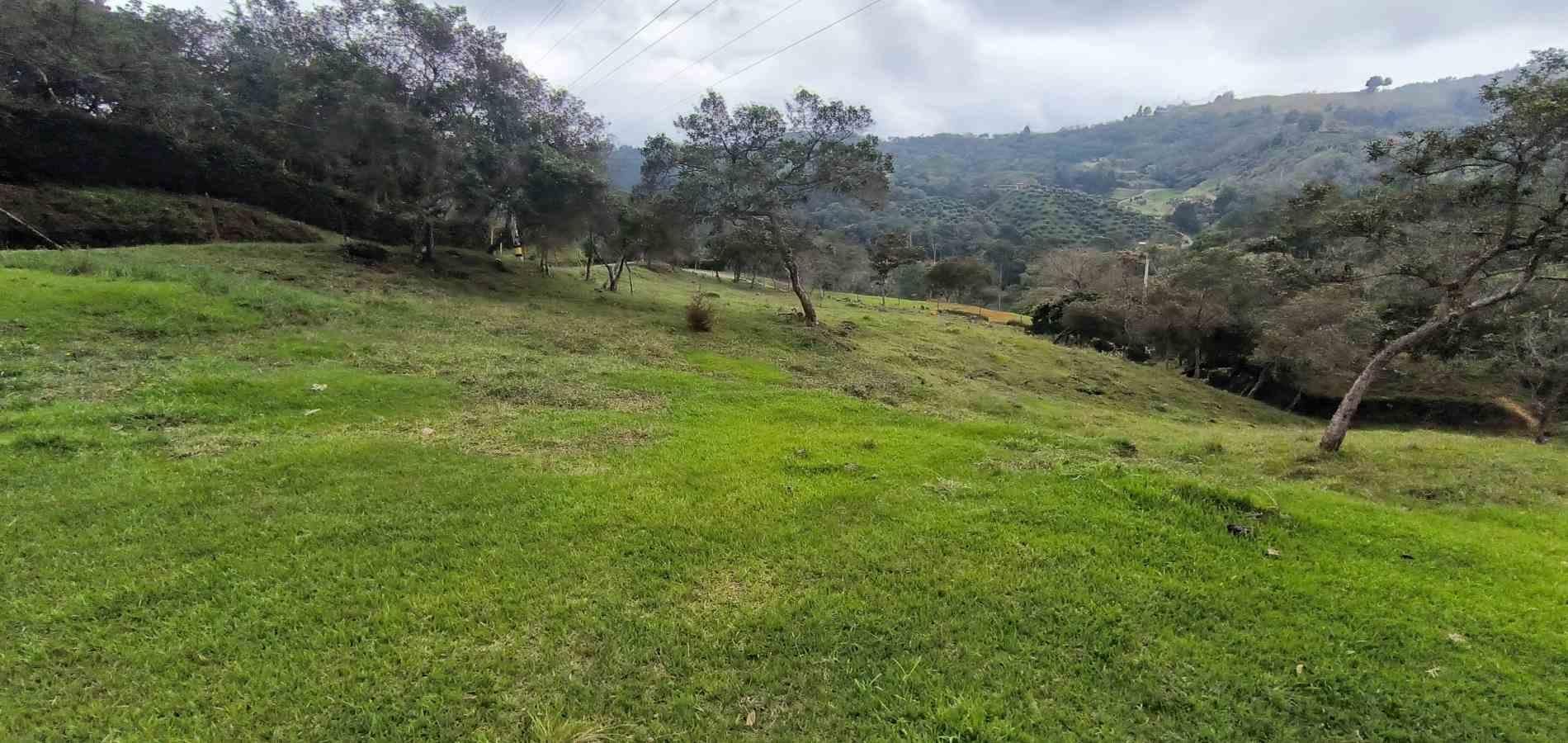 Lote en venta ubicado en Medellín, sector Vereda la Honda - 7