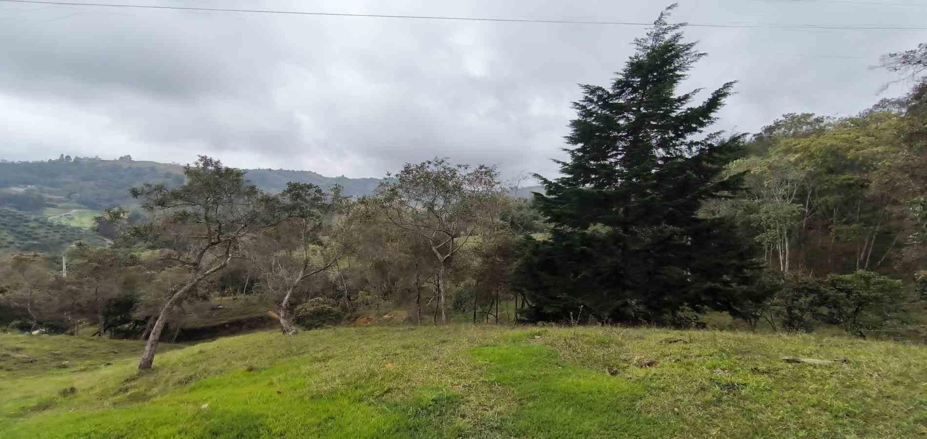 Lote en venta ubicado en Medellín, sector Vereda la Honda - 8