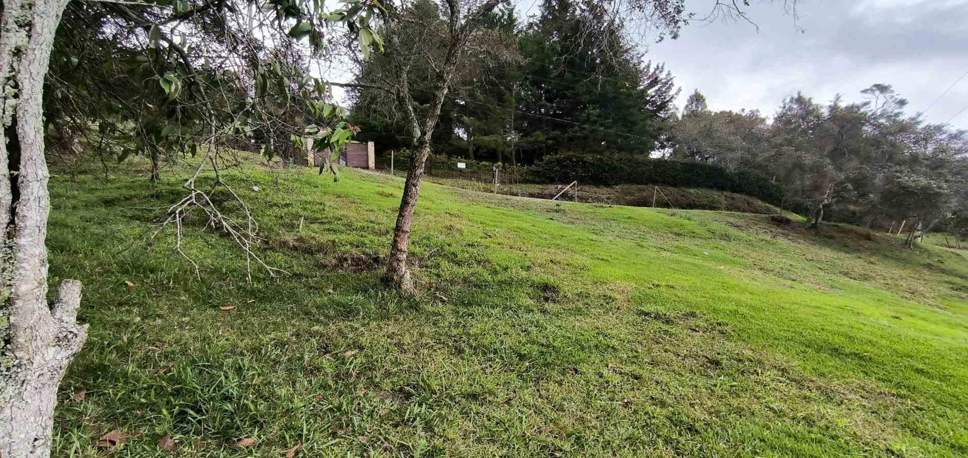 Lote en venta ubicado en Medellín, sector Vereda la Honda - 10
