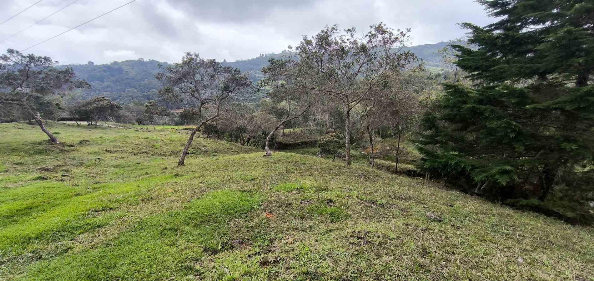 Lote en venta ubicado en Medellín, sector Vereda la Honda - 11