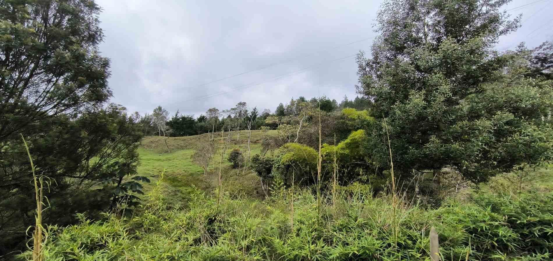 Lote en venta ubicado en Medellín, sector Vereda la Honda - 13