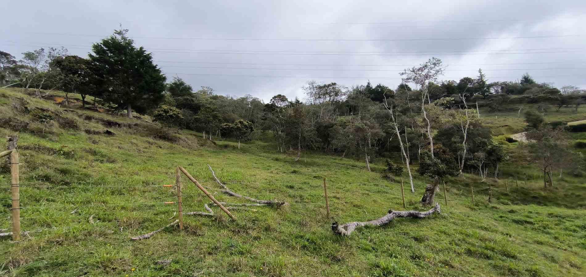 Lote en venta ubicado en Medellín, sector Vereda la Honda - 14