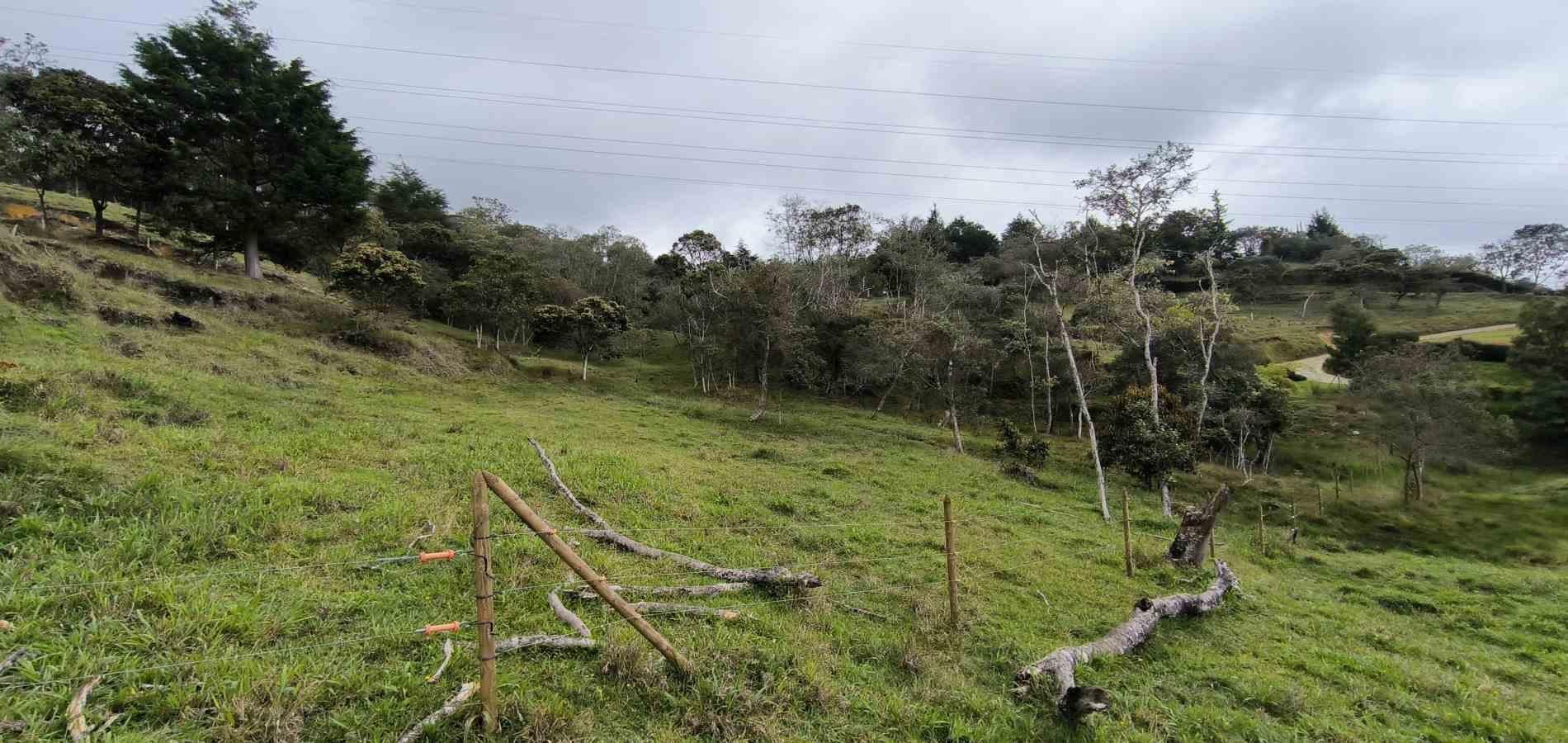 Lote en venta ubicado en Medellín, sector Vereda la Honda - 15