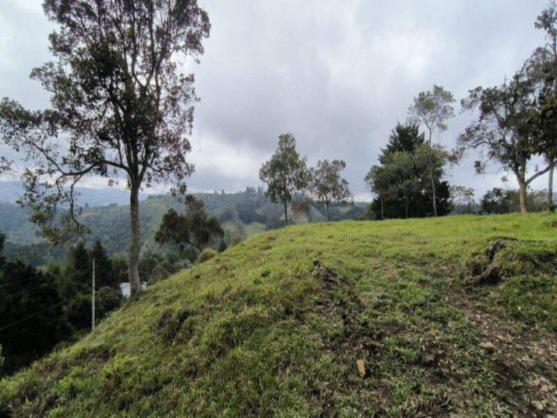 Lote en venta ubicado en Medellín, sector Vereda la Honda - 2