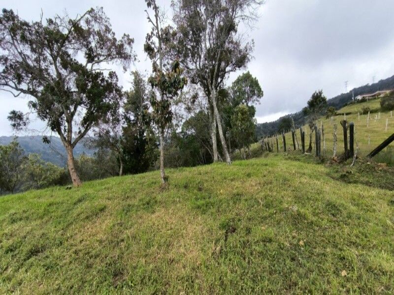 Lote en venta ubicado en Medellín, sector Vereda la Honda - 4