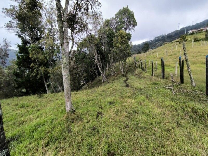 Lote en venta ubicado en Medellín, sector Vereda la Honda - 5