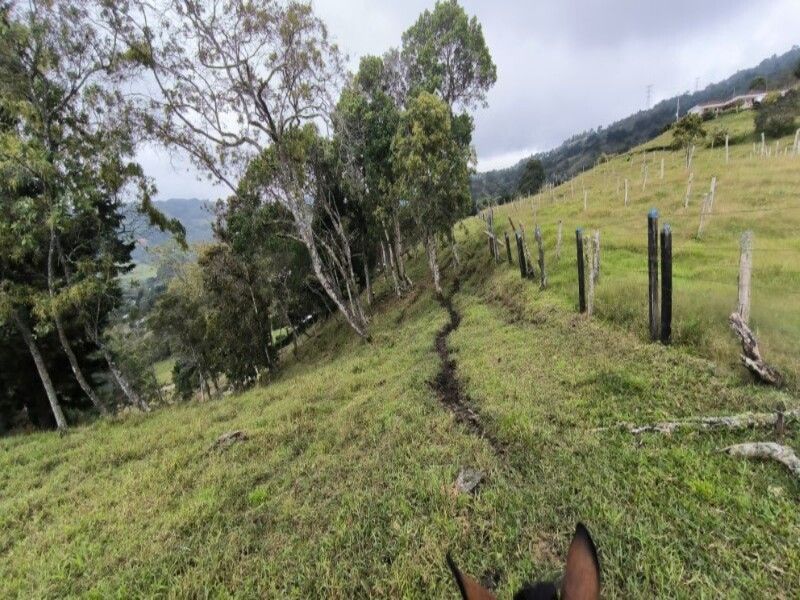 Lote en venta ubicado en Medellín, sector Vereda la Honda - 6