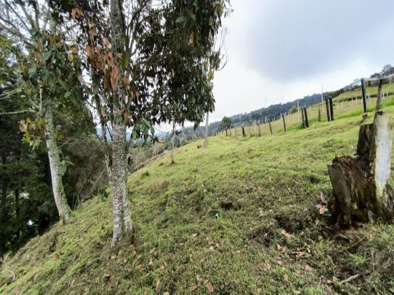 Lote en venta ubicado en Medellín, sector Vereda la Honda - 7