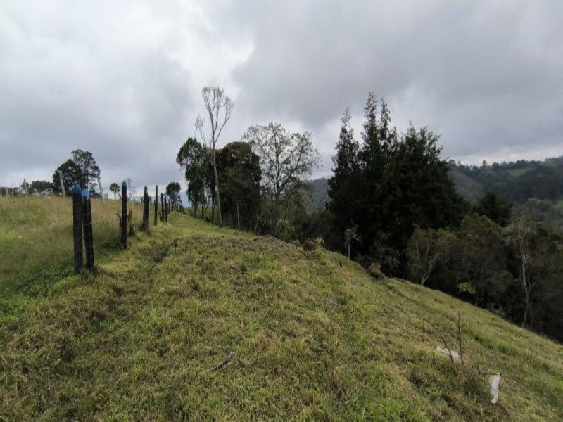Lote en venta ubicado en Medellín, sector Vereda la Honda - 11
