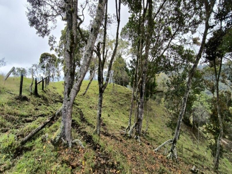 Lote en venta ubicado en Medellín, sector Vereda la Honda - 13