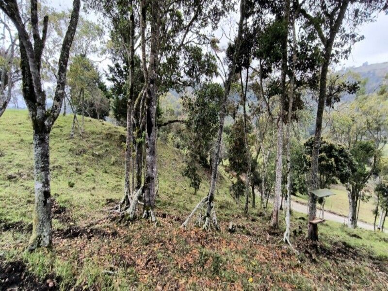 Lote en venta ubicado en Medellín, sector Vereda la Honda - 14