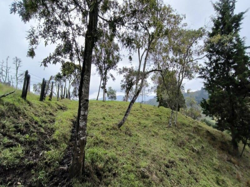 Lote en venta ubicado en Medellín, sector Vereda la Honda - 15