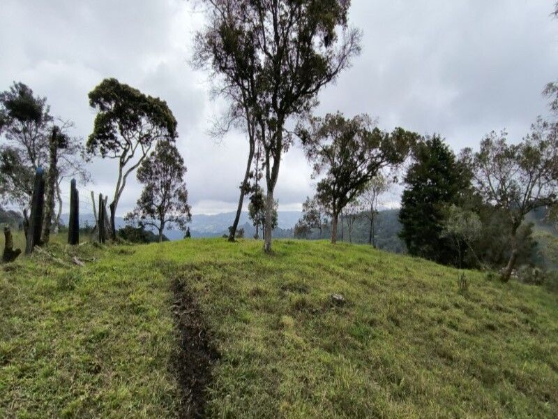 Lote en venta ubicado en Medellín, sector Vereda la Honda - 16