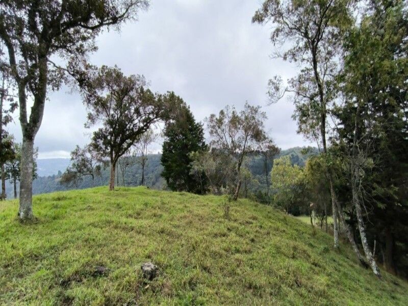 Lote en venta ubicado en Medellín, sector Vereda la Honda - 17