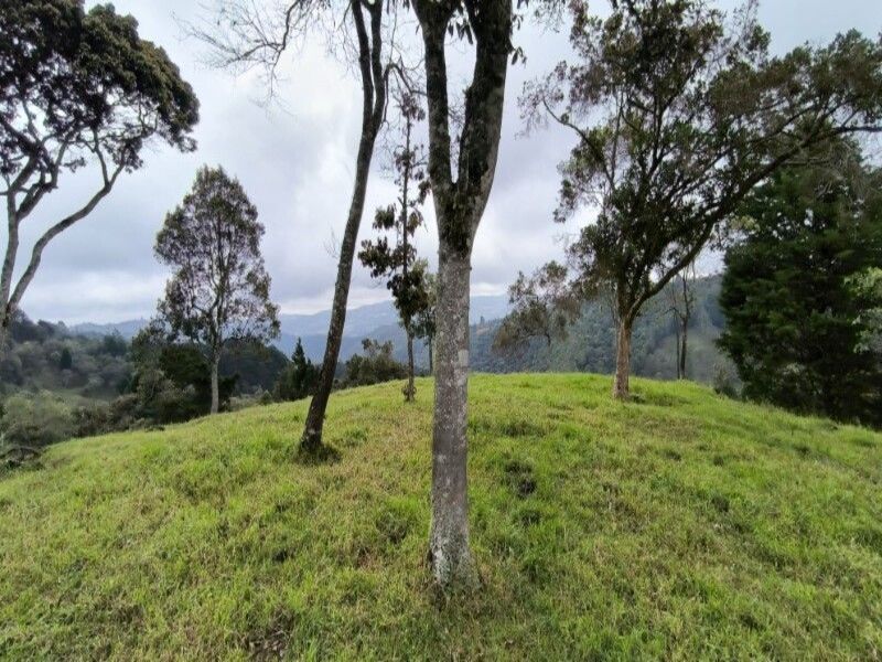 Lote en venta ubicado en Medellín, sector Vereda la Honda - 18