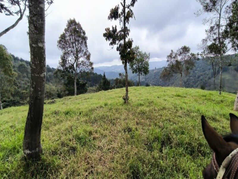 Lote en venta ubicado en Medellín, sector Vereda la Honda - 19