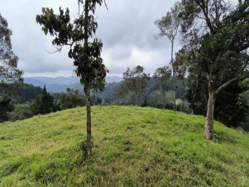 Lote en venta ubicado en Medellín, sector Vereda la Honda - 20