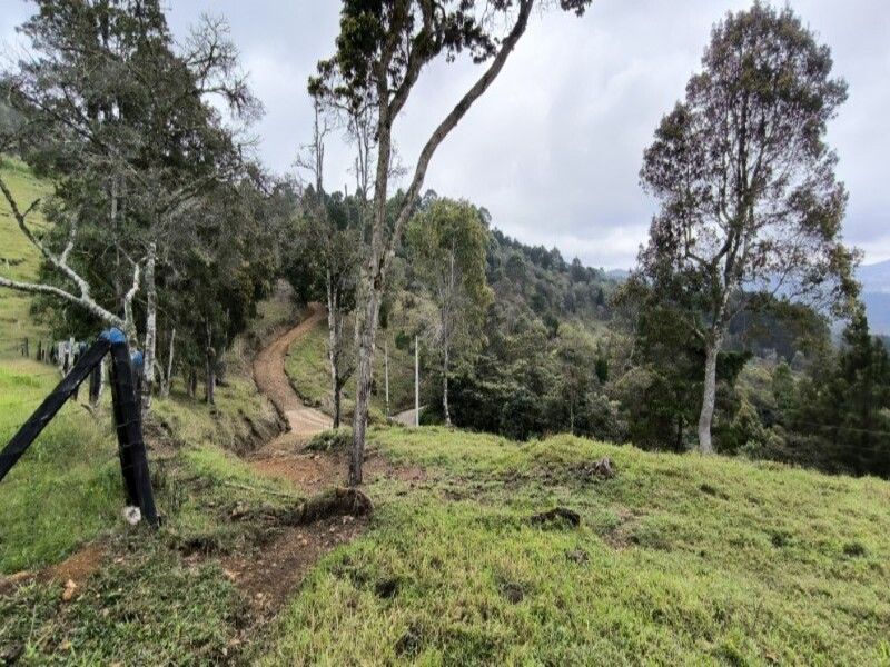 Lote en venta ubicado en Medellín, sector Vereda la Honda - 21