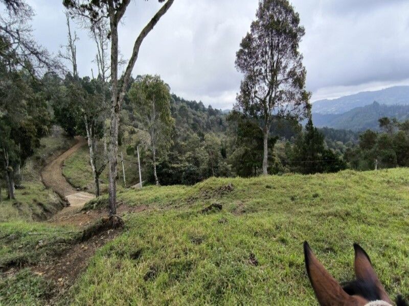 Lote en venta ubicado en Medellín, sector Vereda la Honda - 22