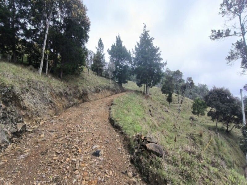 Lote en venta ubicado en Medellín, sector Vereda la Honda - 5