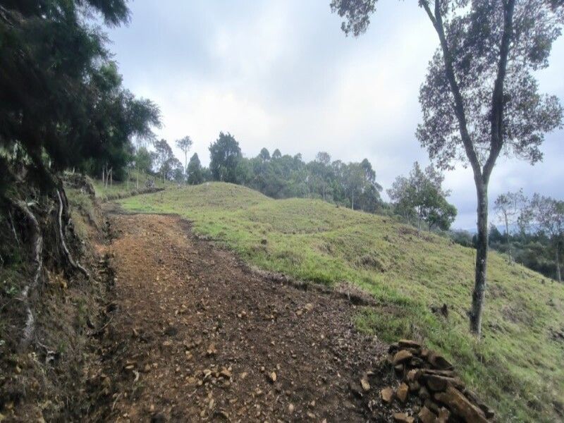 Lote en venta ubicado en Medellín, sector Vereda la Honda - 7