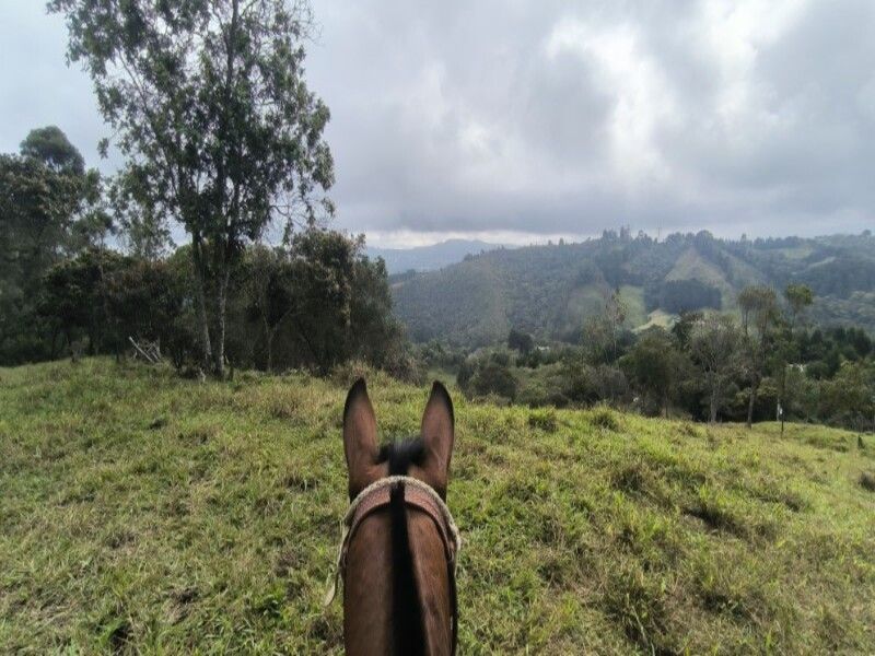 Lote en venta ubicado en Medellín, sector Vereda la Honda - 13