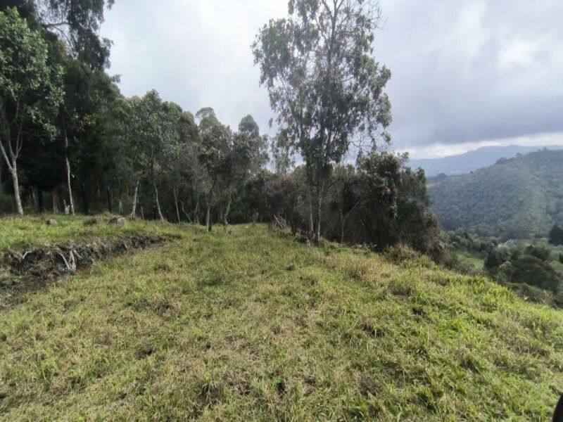 Lote en venta ubicado en Medellín, sector Vereda la Honda - 14