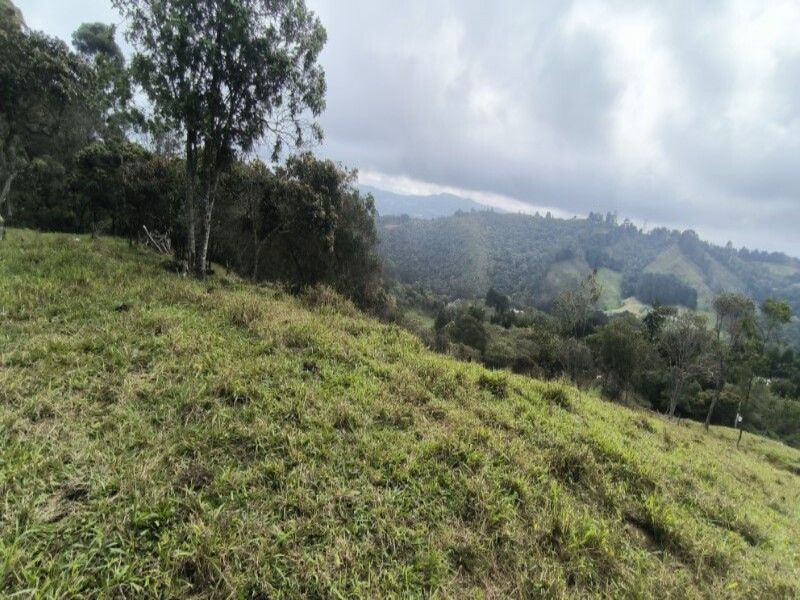 Lote en venta ubicado en Medellín, sector Vereda la Honda - 15