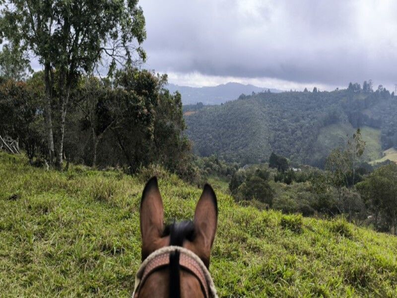 Lote en venta ubicado en Medellín, sector Vereda la Honda - 16