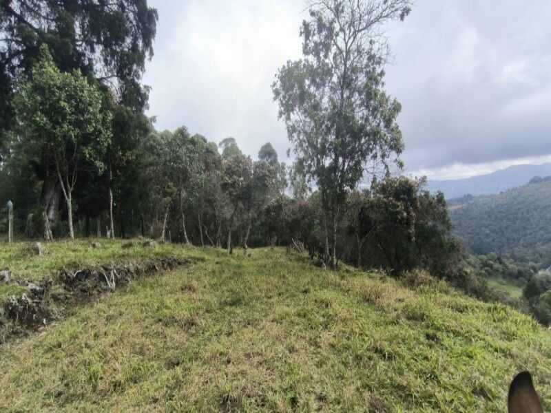 Lote en venta ubicado en Medellín, sector Vereda la Honda - 17