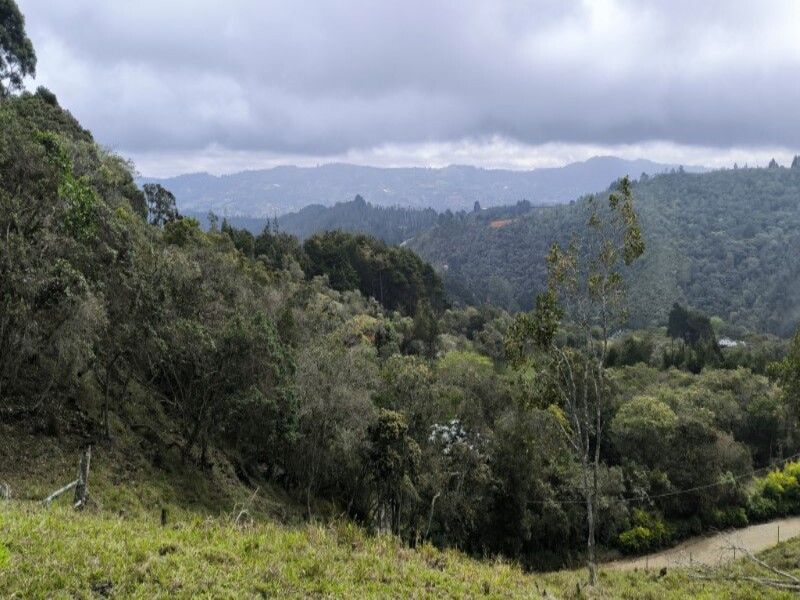Lote en venta ubicado en Medellín, sector Vereda la Honda - 19
