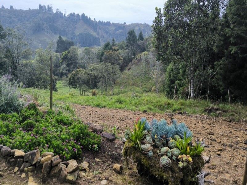 Lote en venta ubicado en Medellín, sector Vereda la Honda - 2