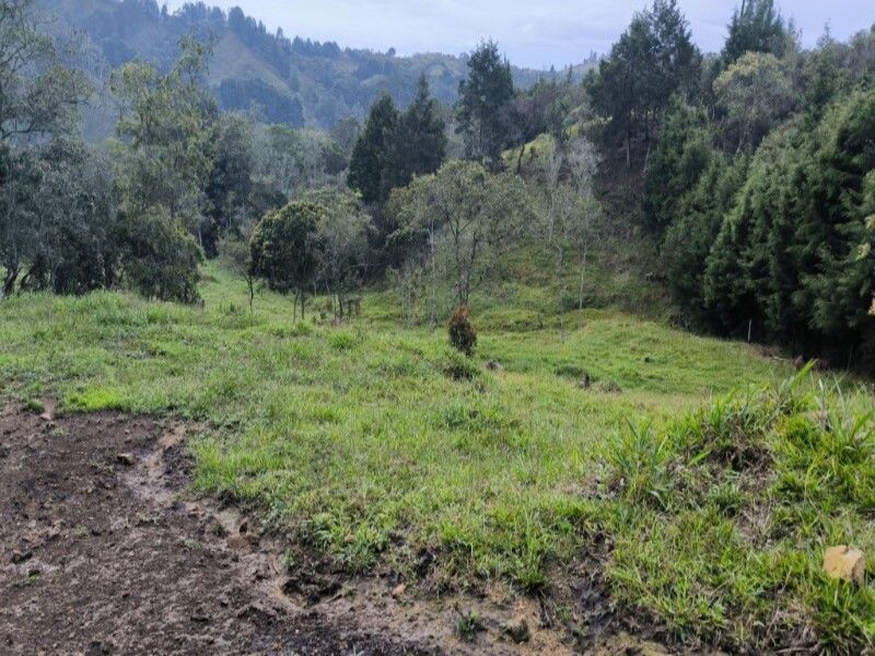 Lote en venta ubicado en Medellín, sector Vereda la Honda - 3