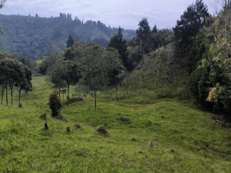 Lote en venta ubicado en Medellín, sector Vereda la Honda - 4