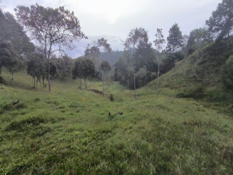 Lote en venta ubicado en Medellín, sector Vereda la Honda - 5