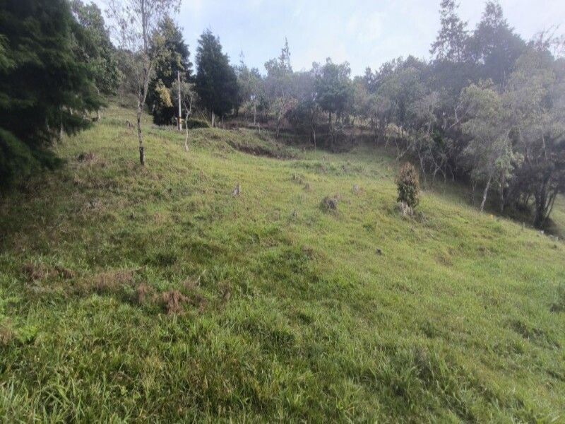Lote en venta ubicado en Medellín, sector Vereda la Honda - 6