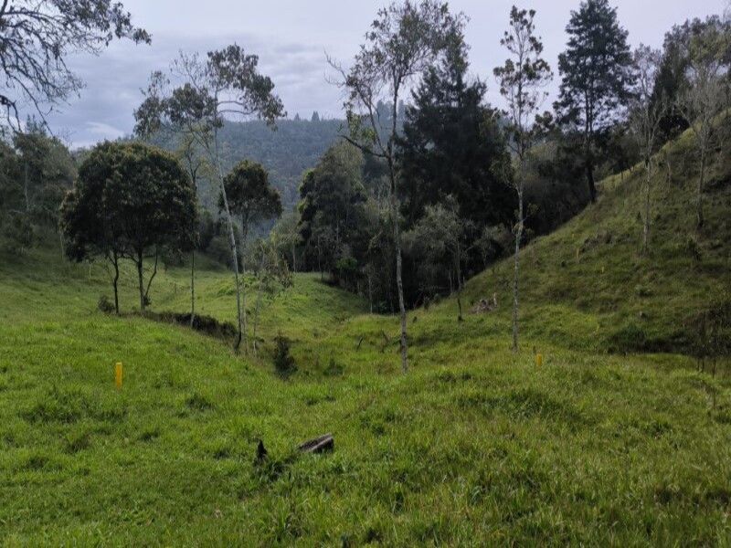 Lote en venta ubicado en Medellín, sector Vereda la Honda - 7