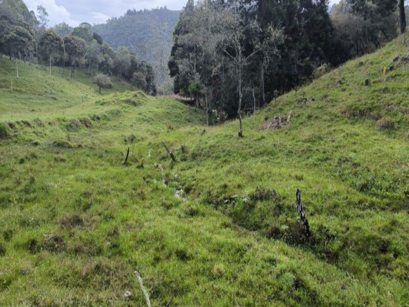 Lote en venta ubicado en Medellín, sector Vereda la Honda - 8