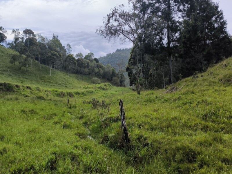 Lote en venta ubicado en Medellín, sector Vereda la Honda - 9
