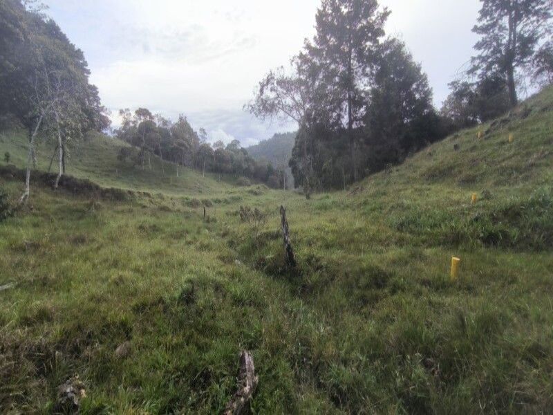 Lote en venta ubicado en Medellín, sector Vereda la Honda - 10
