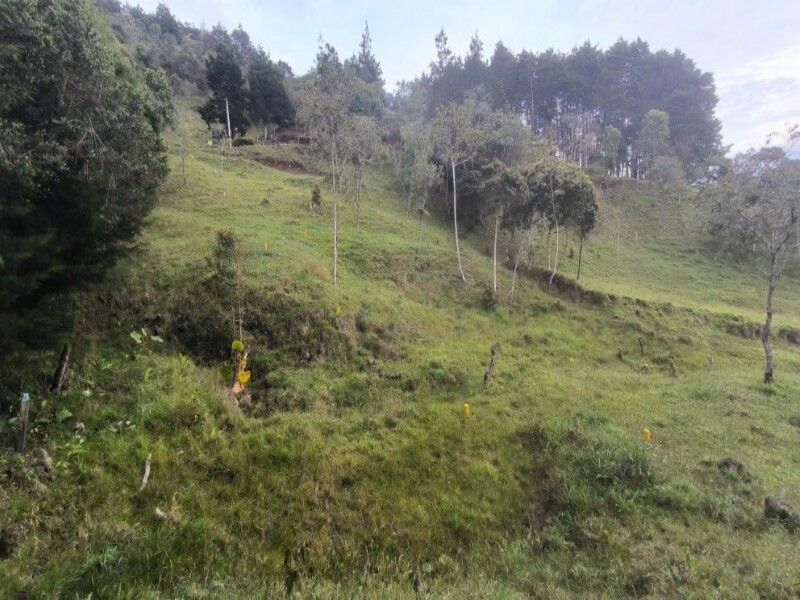 Lote en venta ubicado en Medellín, sector Vereda la Honda - 11